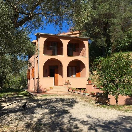 Argentella House Vila Palombara Sabina Exterior foto
